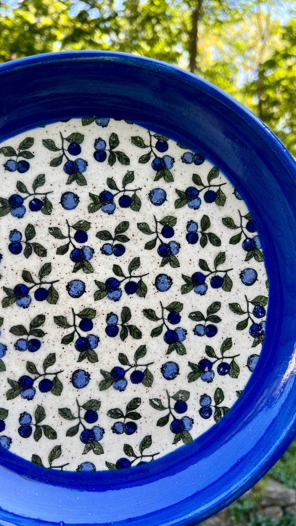 Blueberry Serving Dish