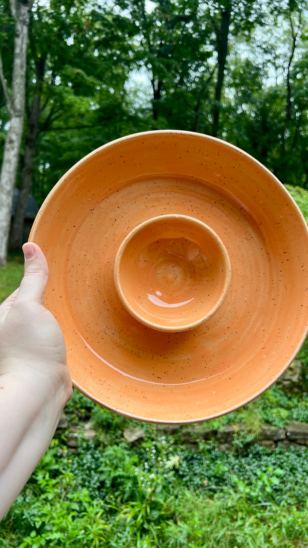 Tangerine Chip and Dip Bowl
