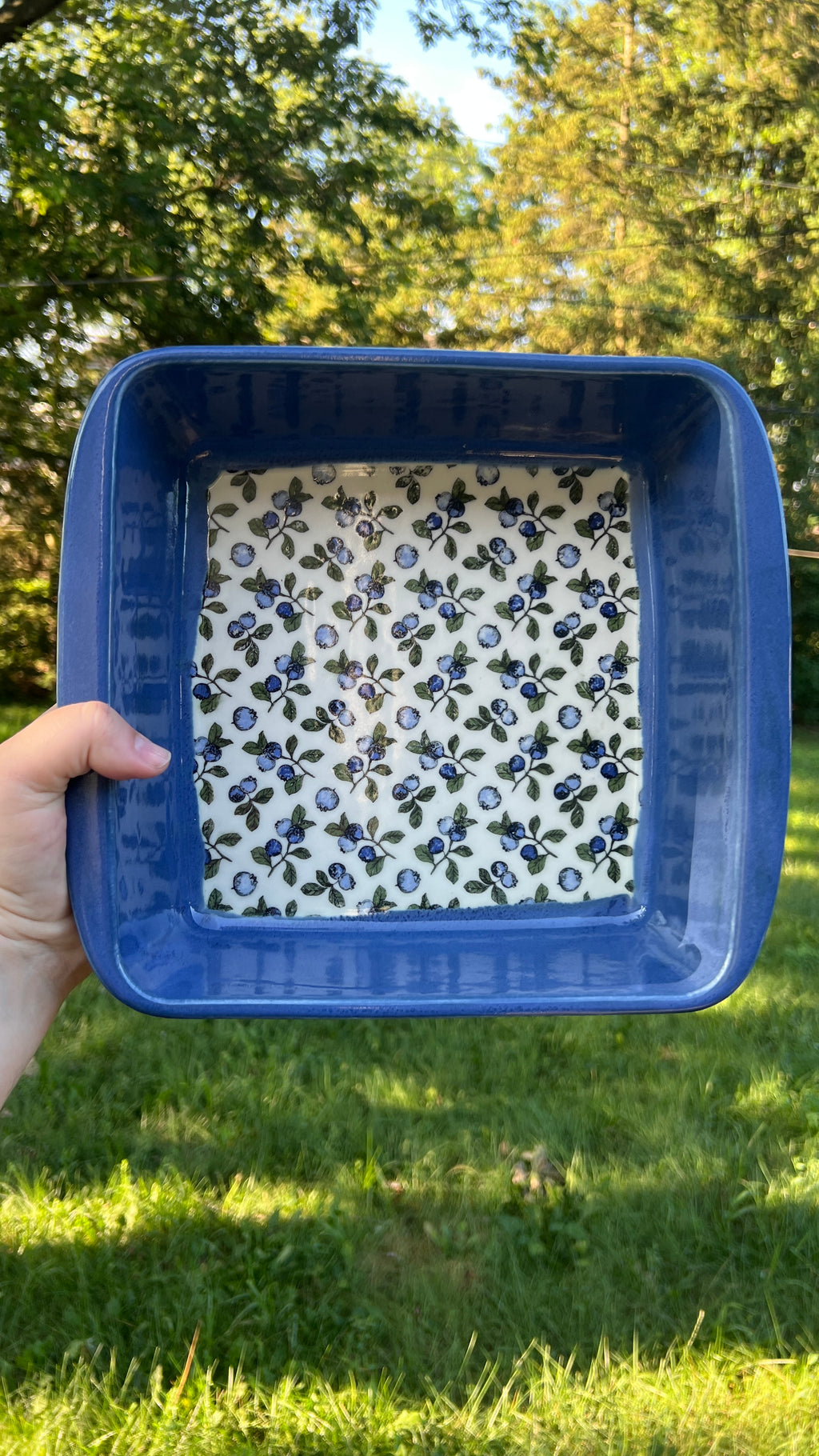 Blueberry Casserole Dish