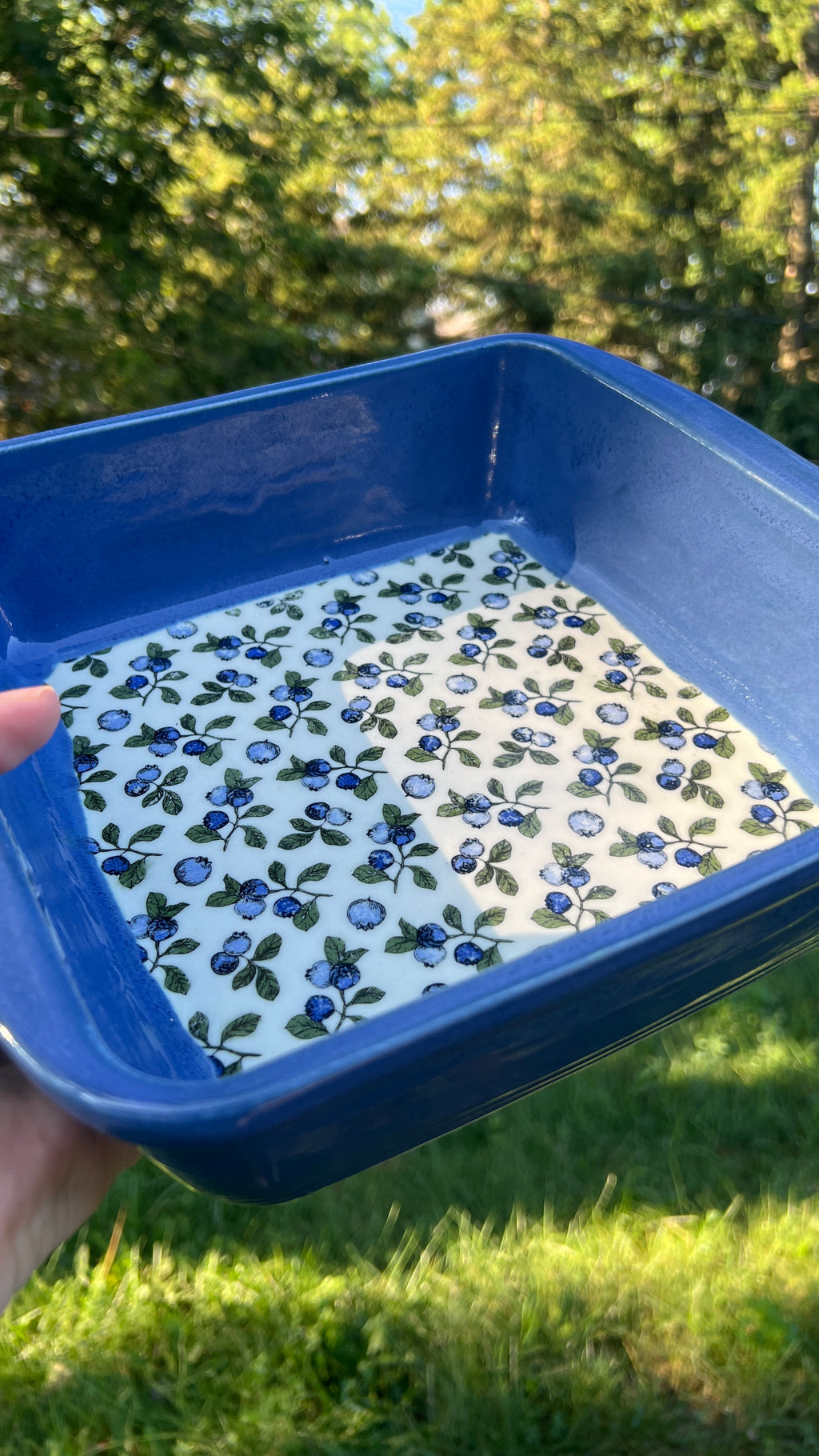 Blueberry Casserole Dish