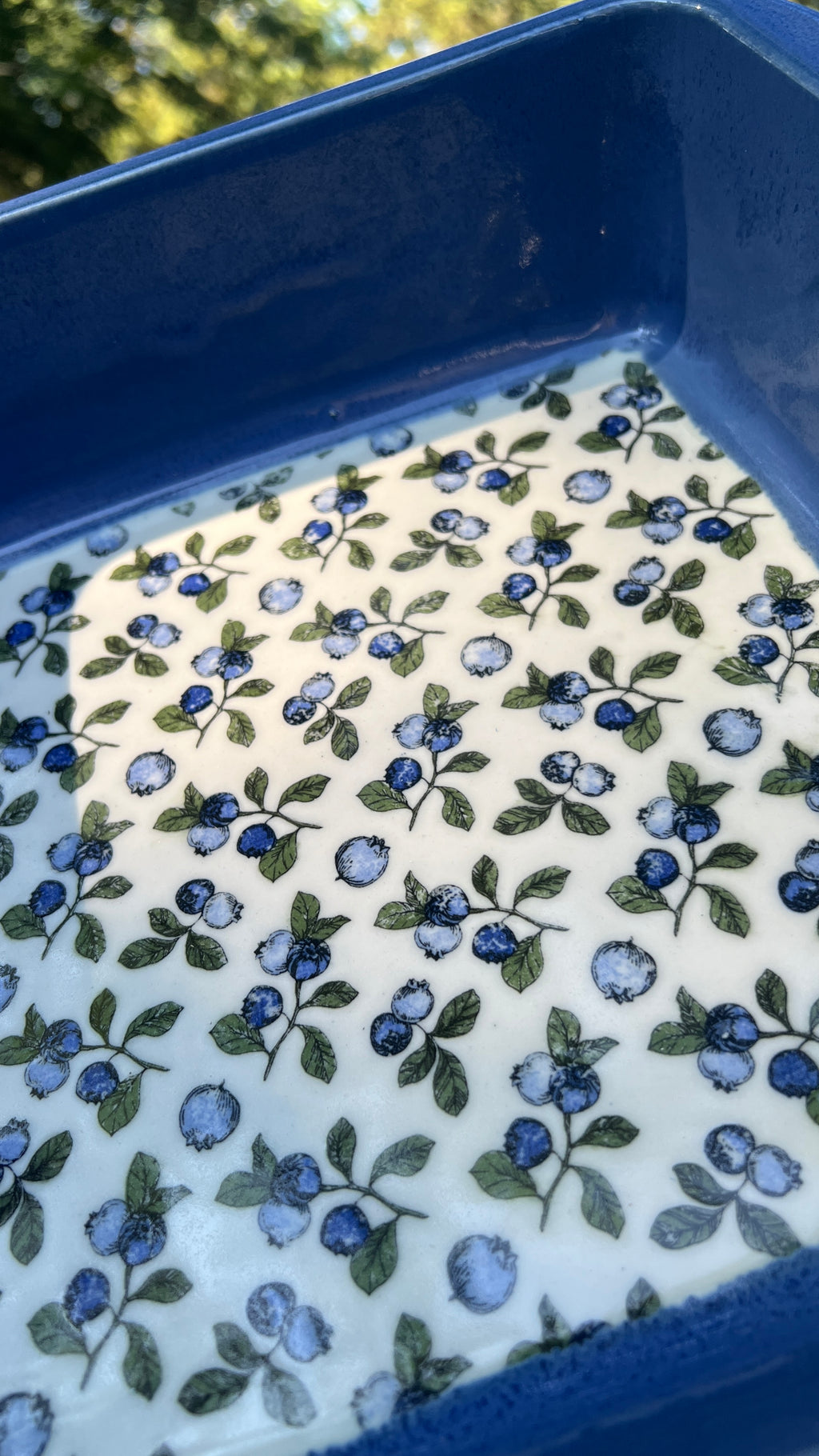 Blueberry Casserole Dish