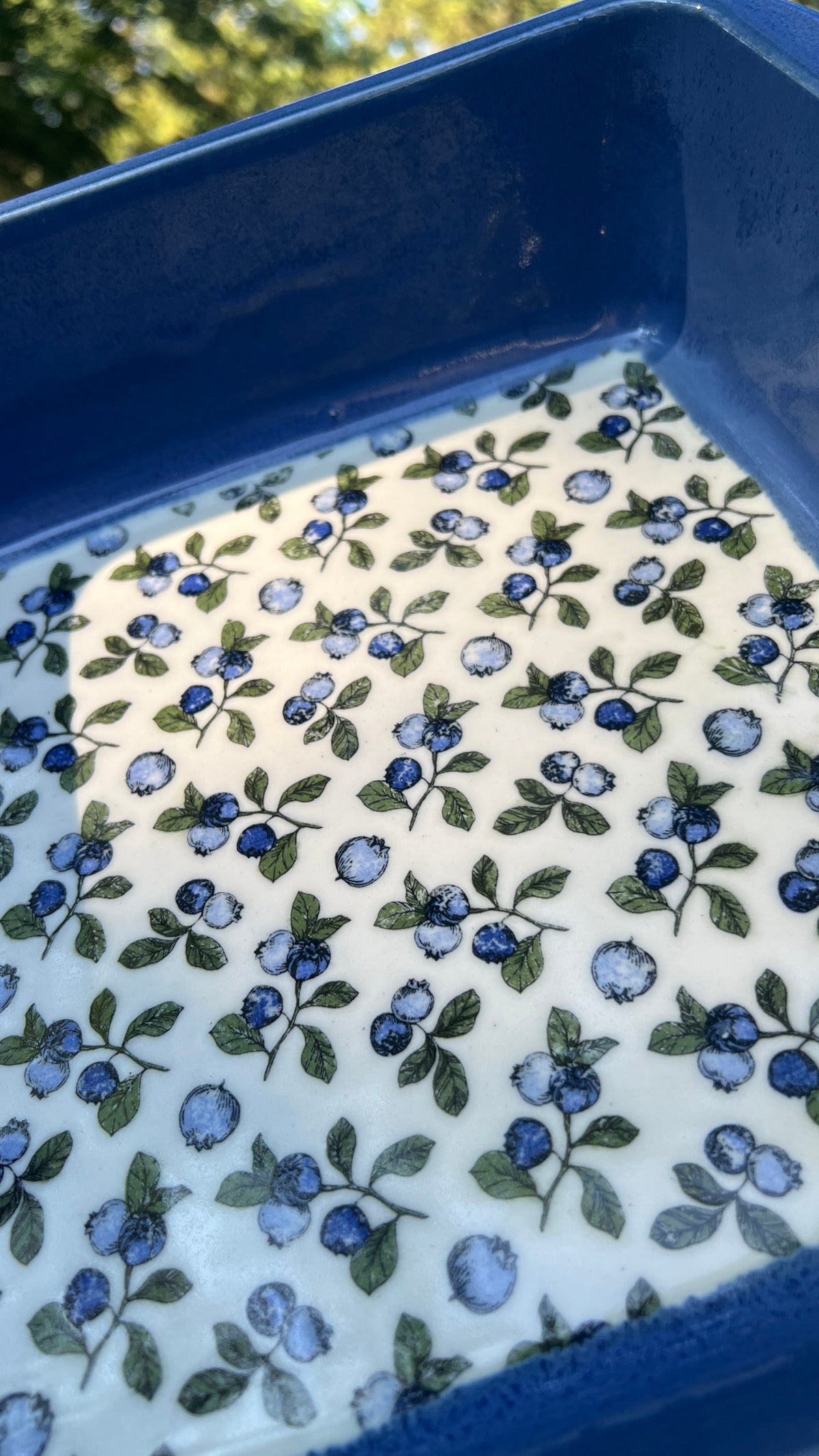 Blueberry Casserole Dish